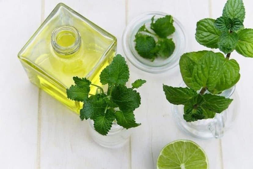 Dementholised Peppermint Oil