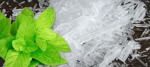 Menthol Crystals Explained